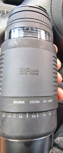 Sigma zoomobjektiv apo - sigma,